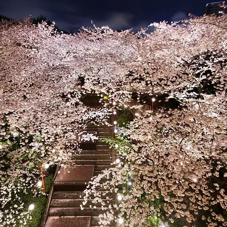 The Prince Sakura Tower Tokyo, Autograph Collection-3